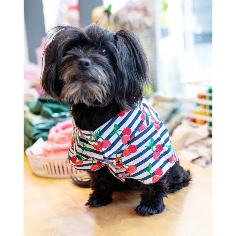 Cheerful Cherries Collared Dog Shirt (FINAL SALE)