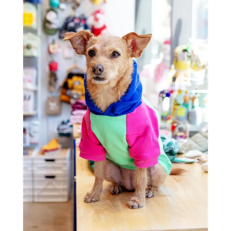 Colorblock Dog Hoodie in Bubblegum + Mint