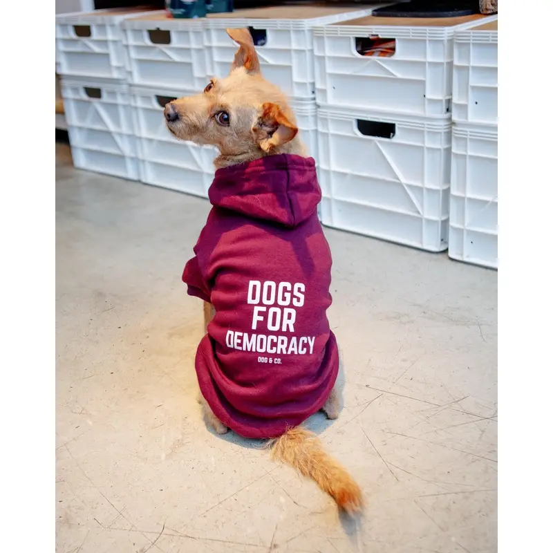 *Dogs for Democracy* Graphic Dog Hoodie (Proceeds Benefit the ACLU)