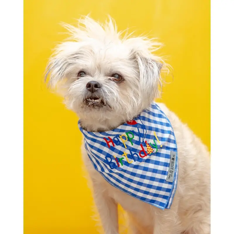 Happy Birthday Gingham Dog Bandana