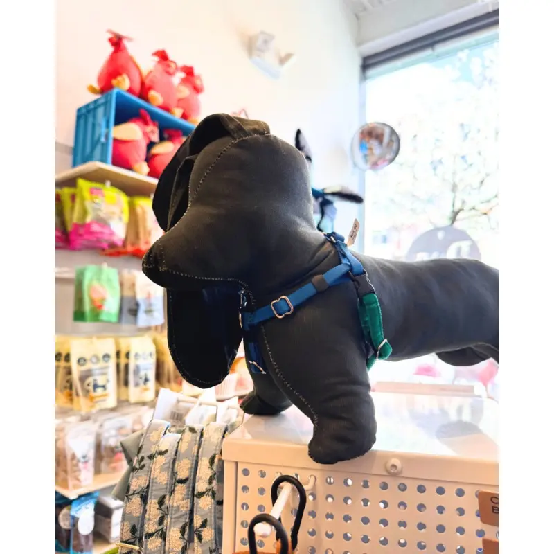 Mini Freedom Dog Harness in Kelly Green + Royal Blue (Made in the USA)