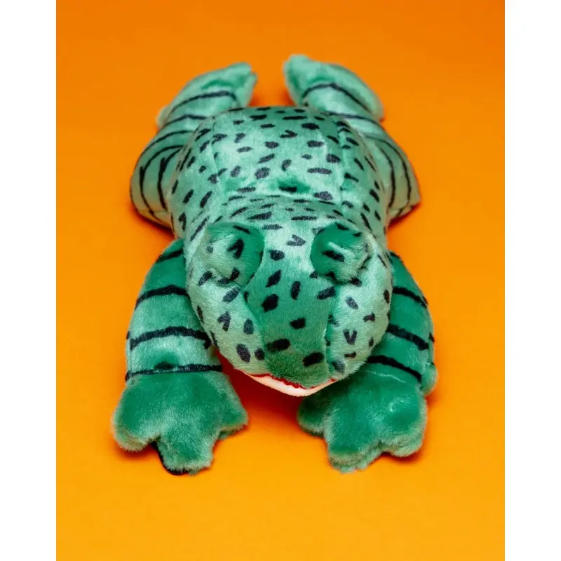 Oliver the Frog Plush Squeaky Dog Toy
