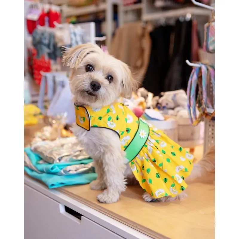 Retro Daisies Ladybug Dress for Dogs