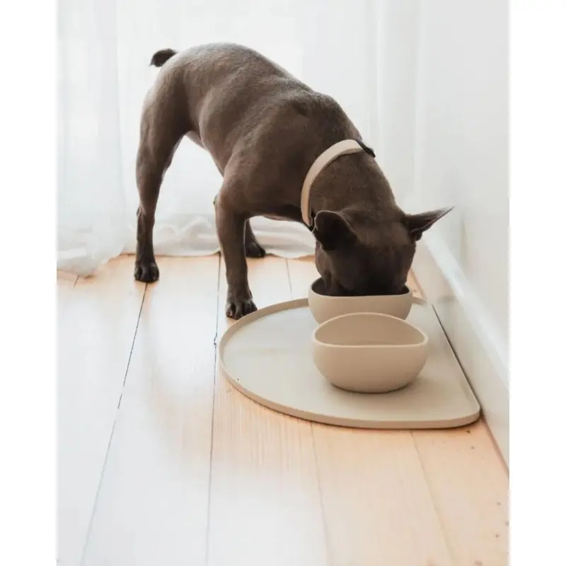 Silicone Placemat