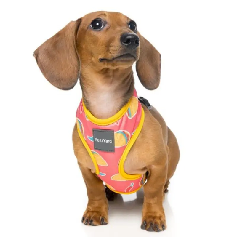 FUZZYARD | Taco Harness