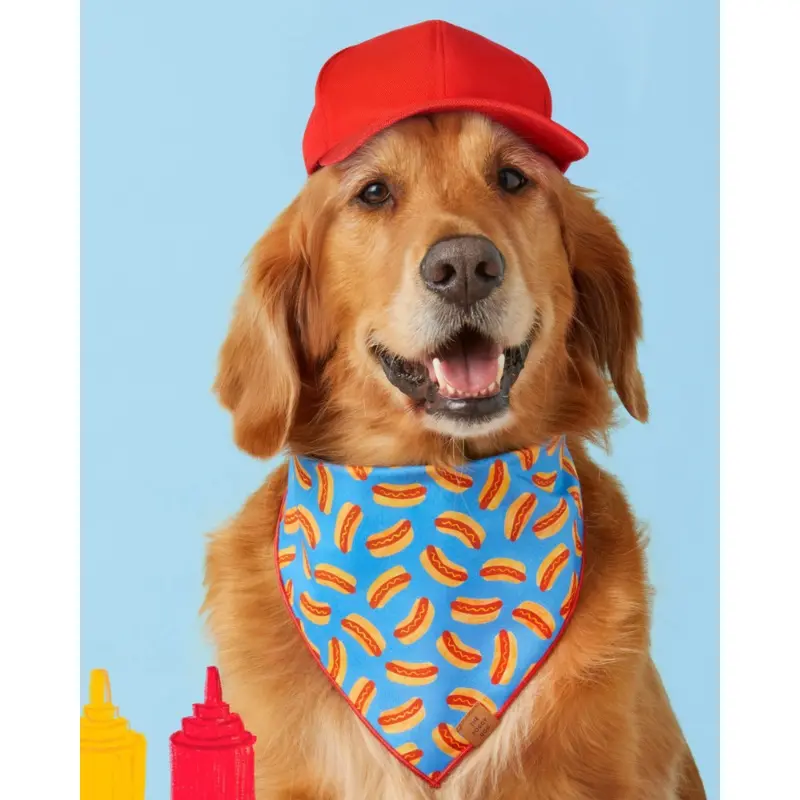 Hot Diggity Dog Summer Dog Bandana