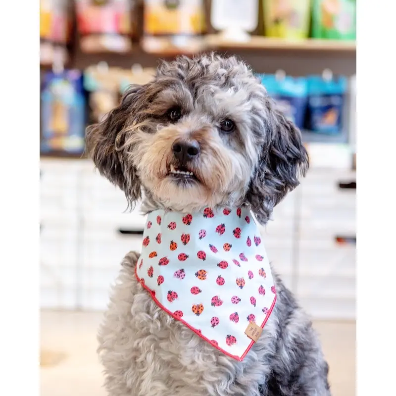 Love Bug Spring Dog Bandana (Made in the USA) (FINAL SALE)