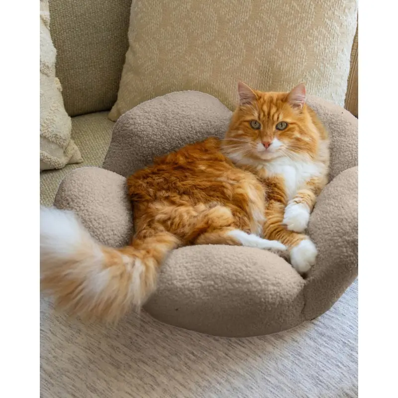 Purrfect Petals Cat Bed in Tan (21")