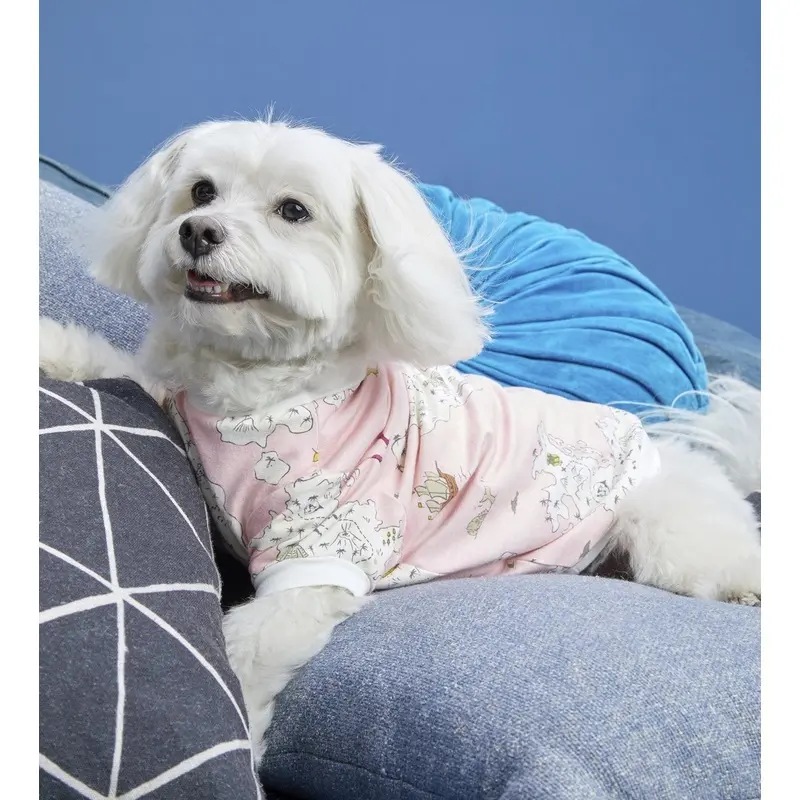 BEDHEAD | Lounge Dog T in Treasure Map