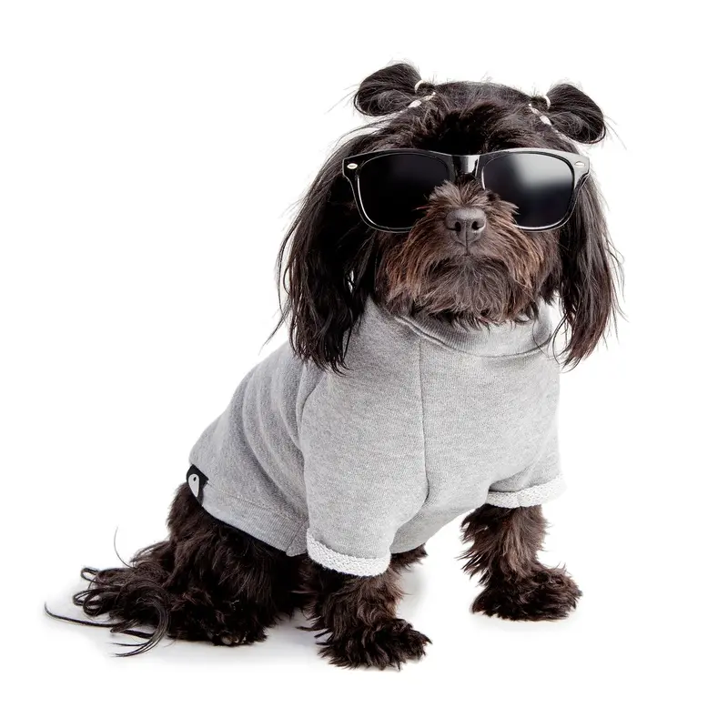 DOG & CO. | MJ Cut-Sleeve Crewneck Sweatshirt in Vintage Grey