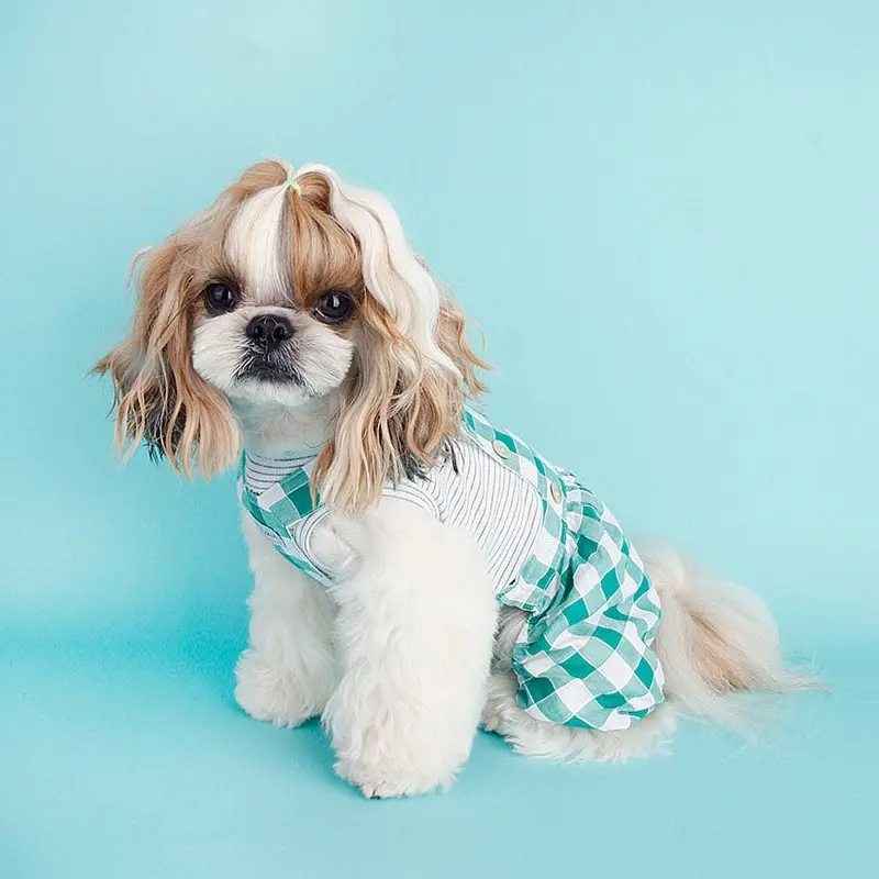 LITTLE COLLIN | Balloon Overall in Green Check