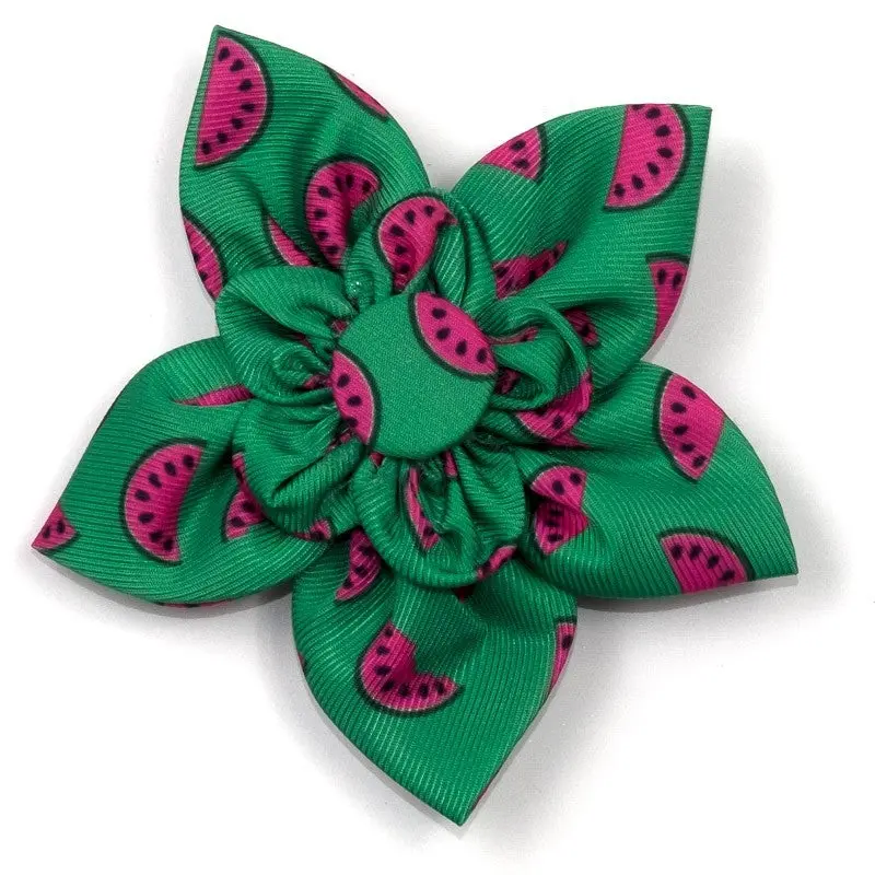 THE WORTHY DOG | Watermelon Flower