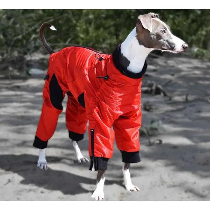 ZIPPY DYNAMICS | Full Body Suit in Red