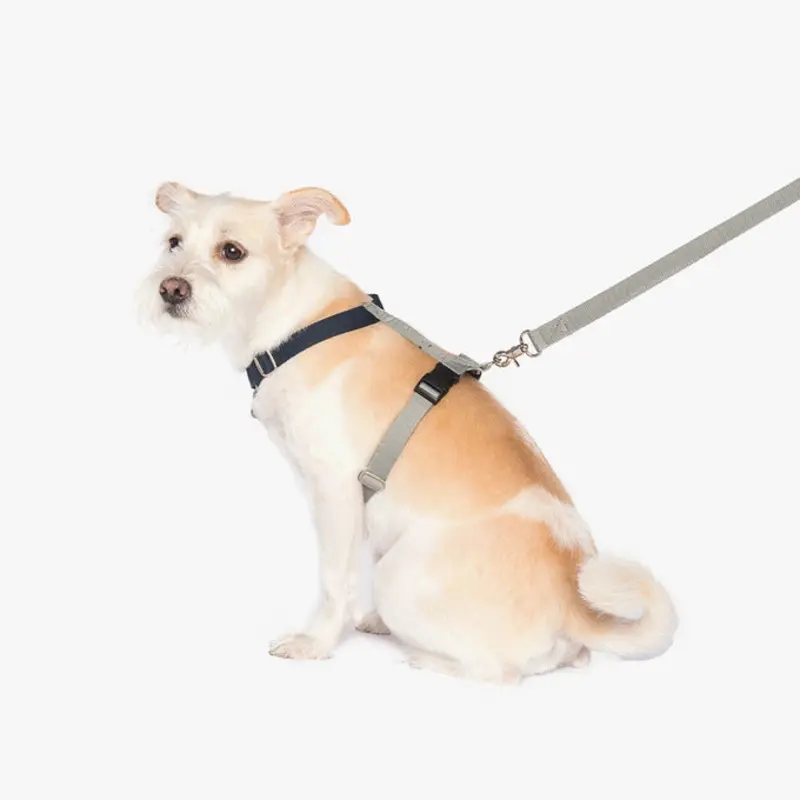 BETTERS | H-Harness in Grey & Navy