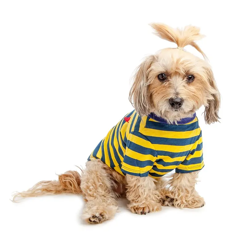 BEST FURRY FRIENDS | Striped Polo in Yellow and Blue