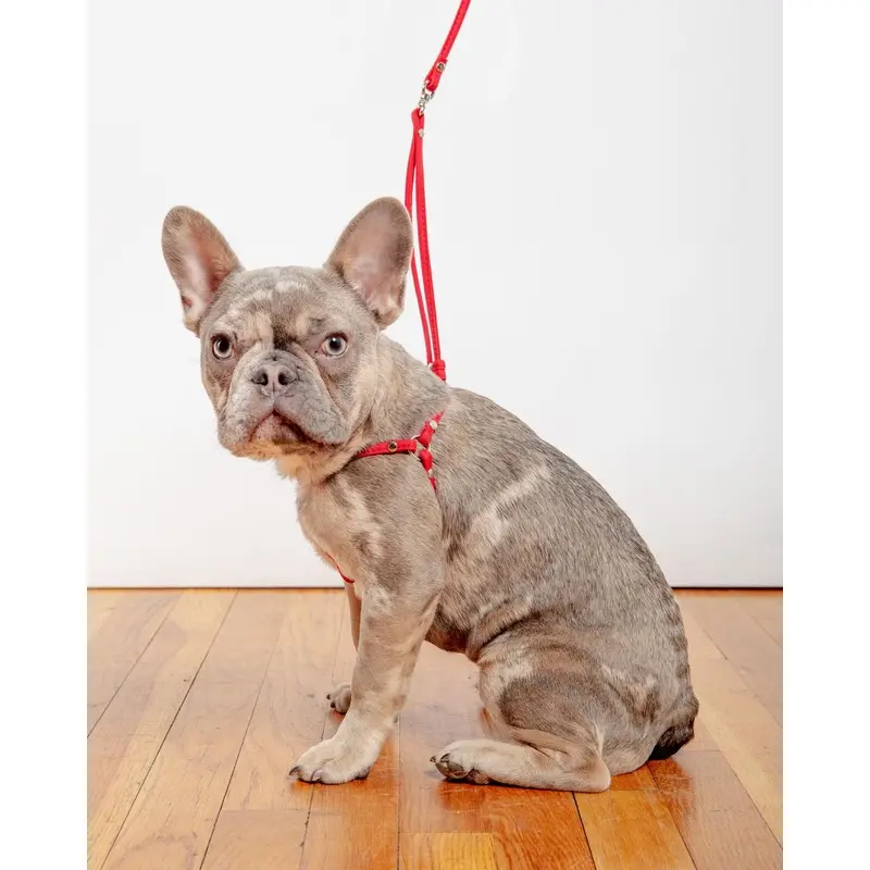 Nylon Step-In Adjustable Dog Harness in Red (Made in the USA)