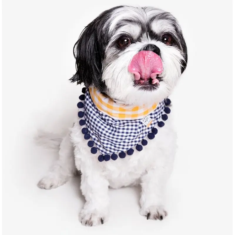 OH HONEY BEAR | Charlie Pom Pom Bandana