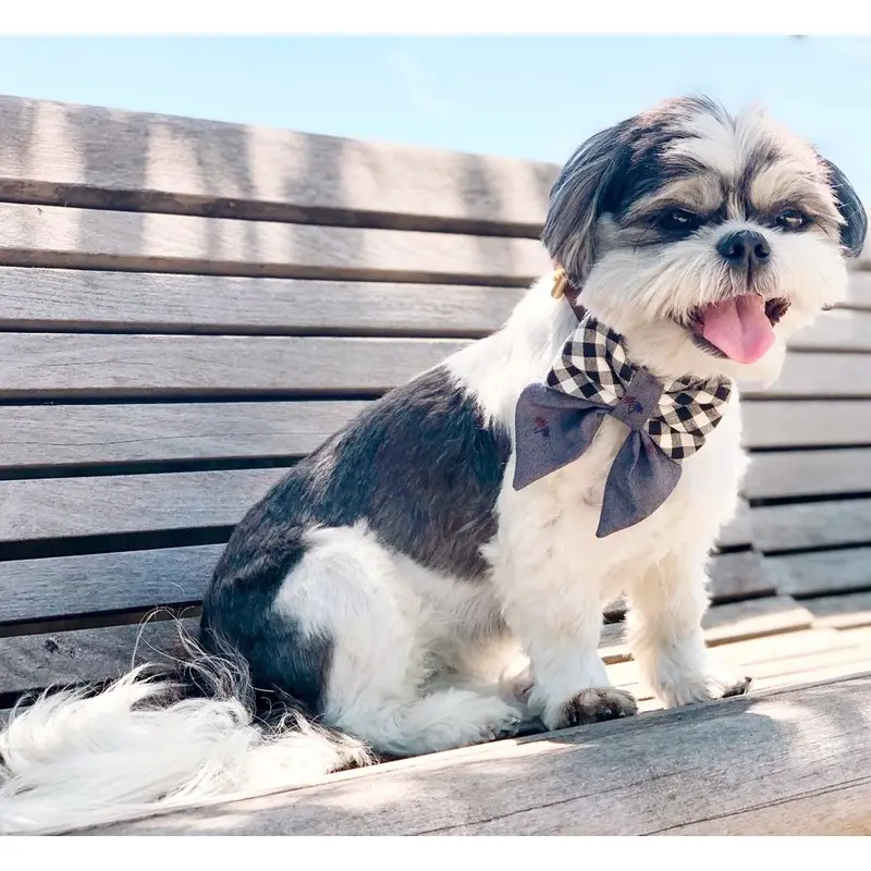 OH HONEY BEAR | Truman Sailor Bow