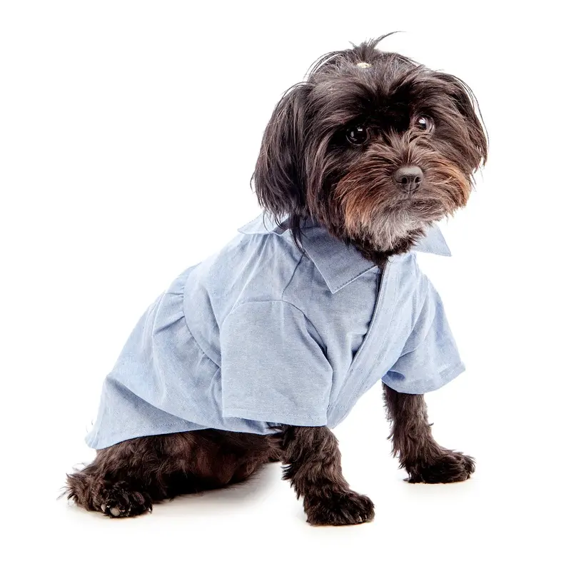 THE WORTHY DOG | Chambray Dress