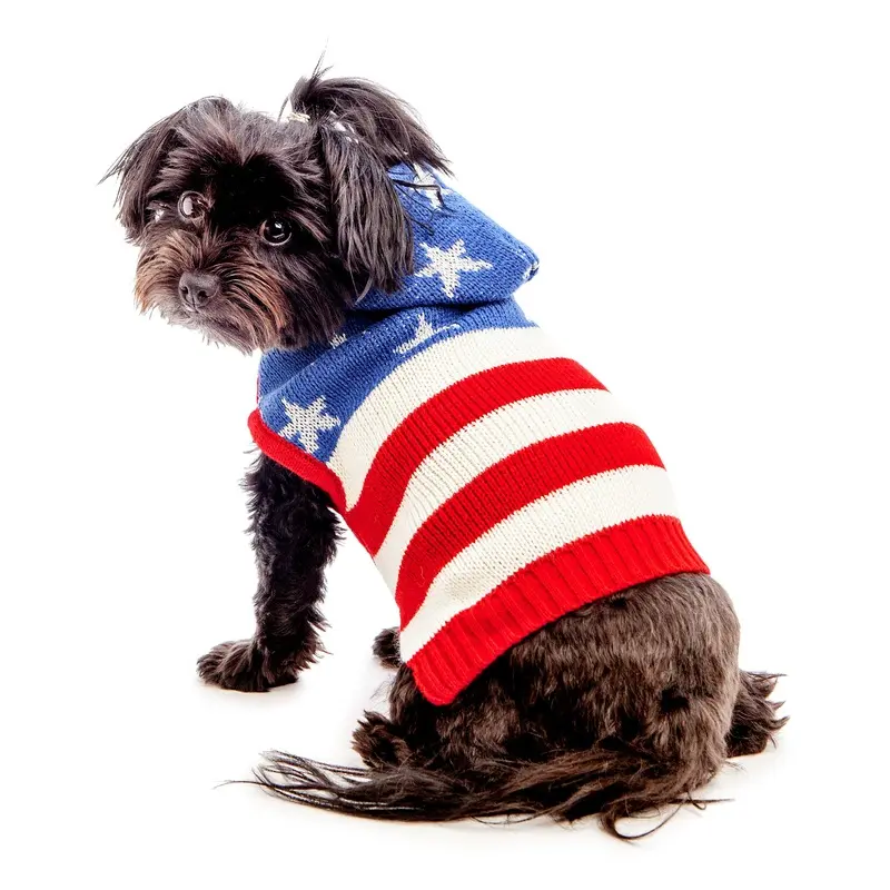 THE WORTHY DOG | Stars and Stripes Hoodie