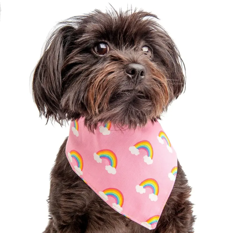 TRISH HAMPTON | Rainbow Bandana