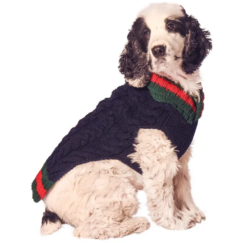 CHILLY DOG | Varsity Sweater