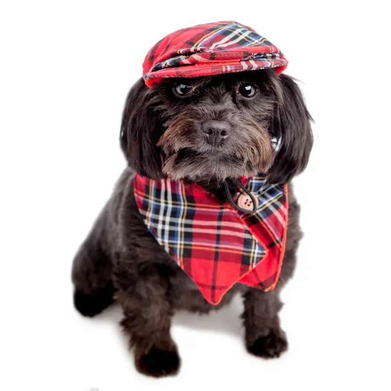 CROCI | Plaid Cap + Scarf Set