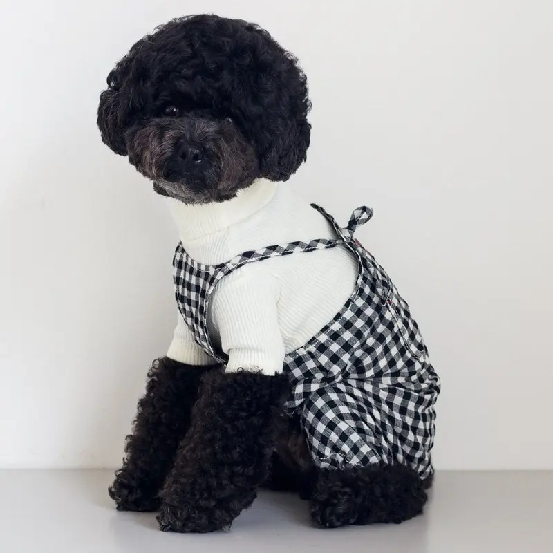 DENTISTS APPOINTMENT | Gingham Check Overall in Black & White