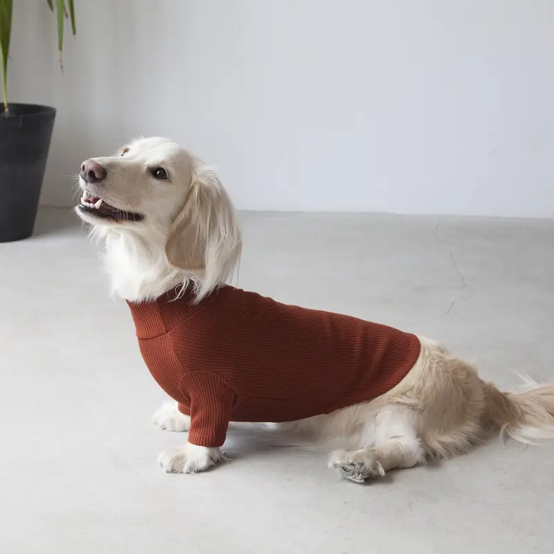 DENTISTS APPOINTMENT | Skinny Rib Rollneck in Brick Brown