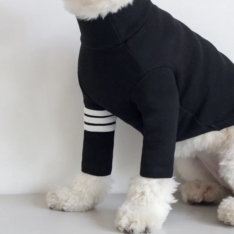 DENTISTS APPOINTMENT | Striped Point Turtleneck in Black