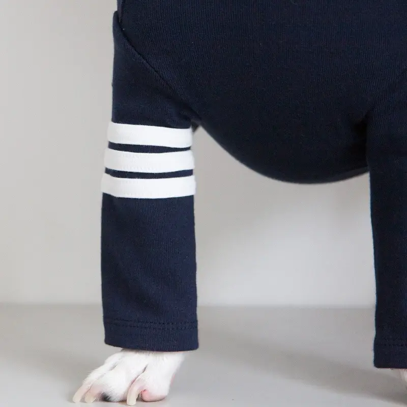 DENTISTS APPOINTMENT | Striped Point Turtleneck in Navy