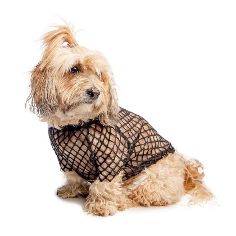 EYE OF DOG | Meshn Around Top in Black