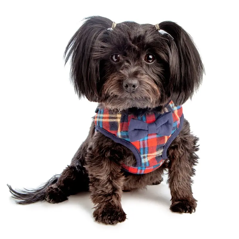 CROCI | British Plaid Harness