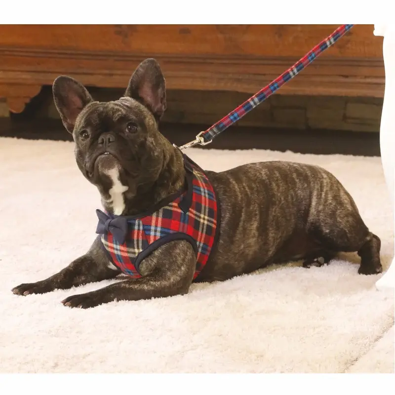 CROCI | British Plaid Leash