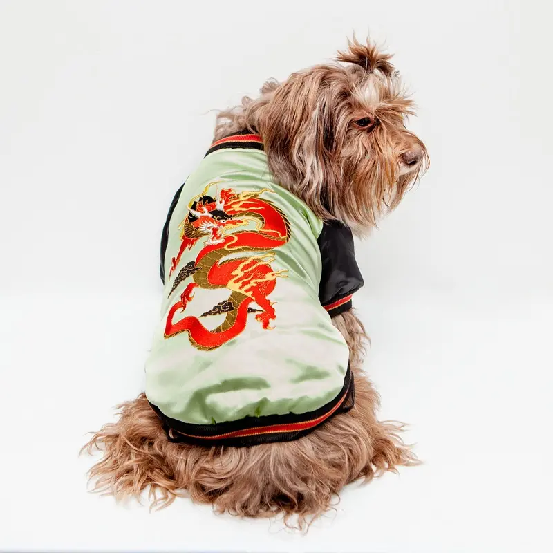 CROCI | Street Dragon Padded Jacket