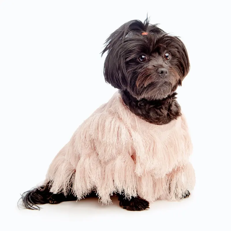 DUKE & DUTCHESS | Fringe Coat in Blush