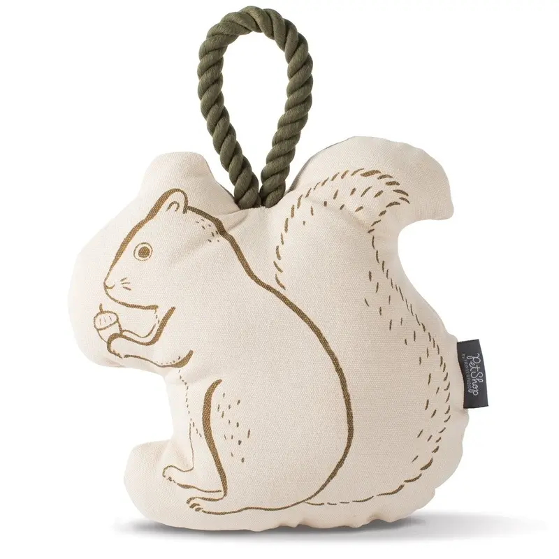 FRINGE STUDIO | Mr. Squirrel Canvas Toy