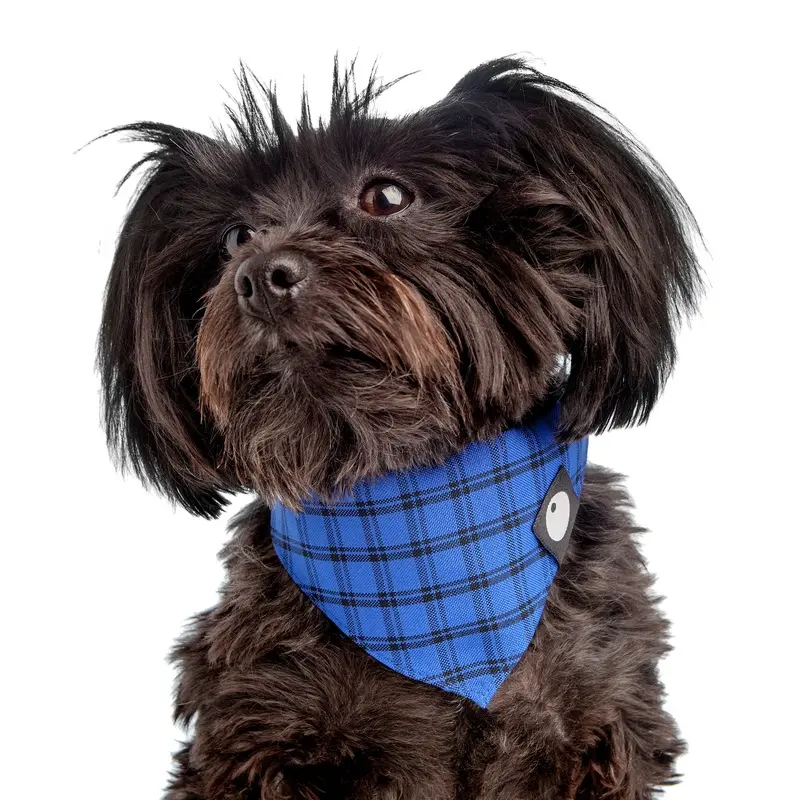 Check Bandana in Cobalt Blue (FINAL SALE)