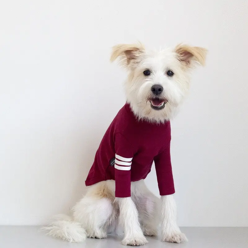 DENTISTS APPOINTMENT | Striped Point Turtleneck in Burgundy