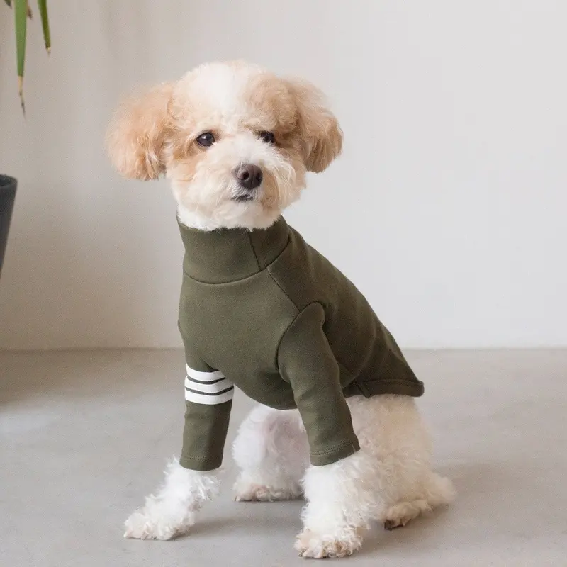 DENTISTS APPOINTMENT | Striped Point Turtleneck in Khaki