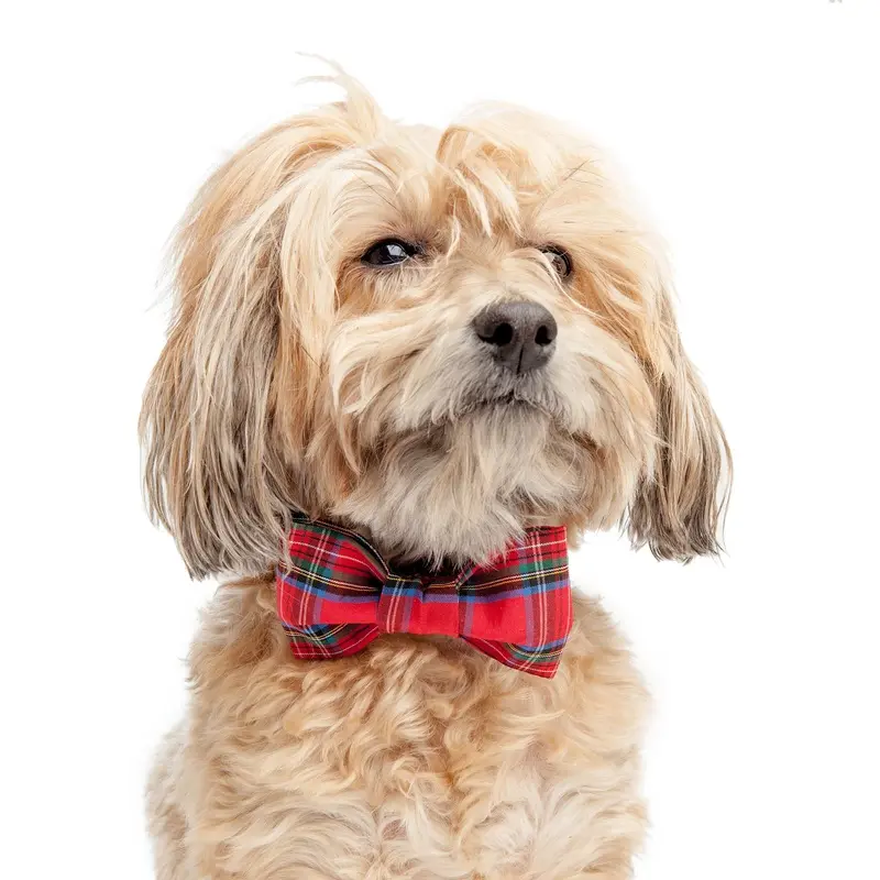 TRISH HAMPTON | Tartan Plaid Bow Tie