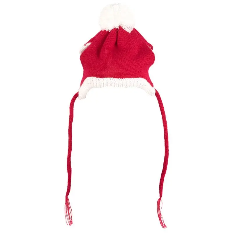 WORTHY DOG | Santa Hat