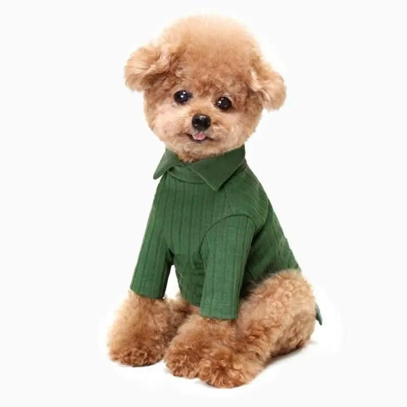 HUTS & BAY | Knit Collar Shirt in Green