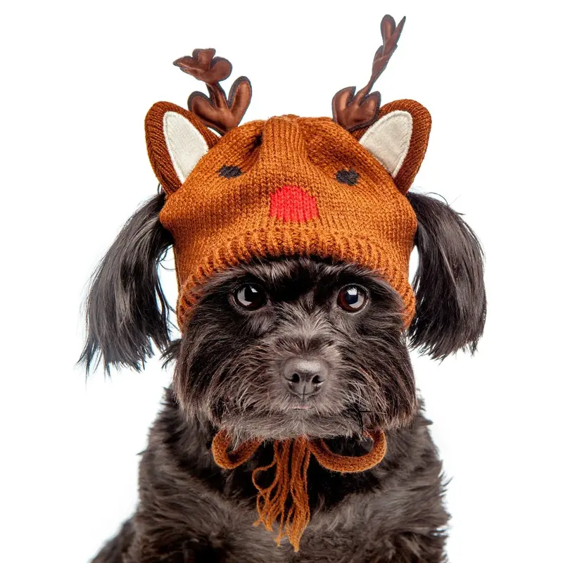 WORTHY DOG | Reindeer Hat