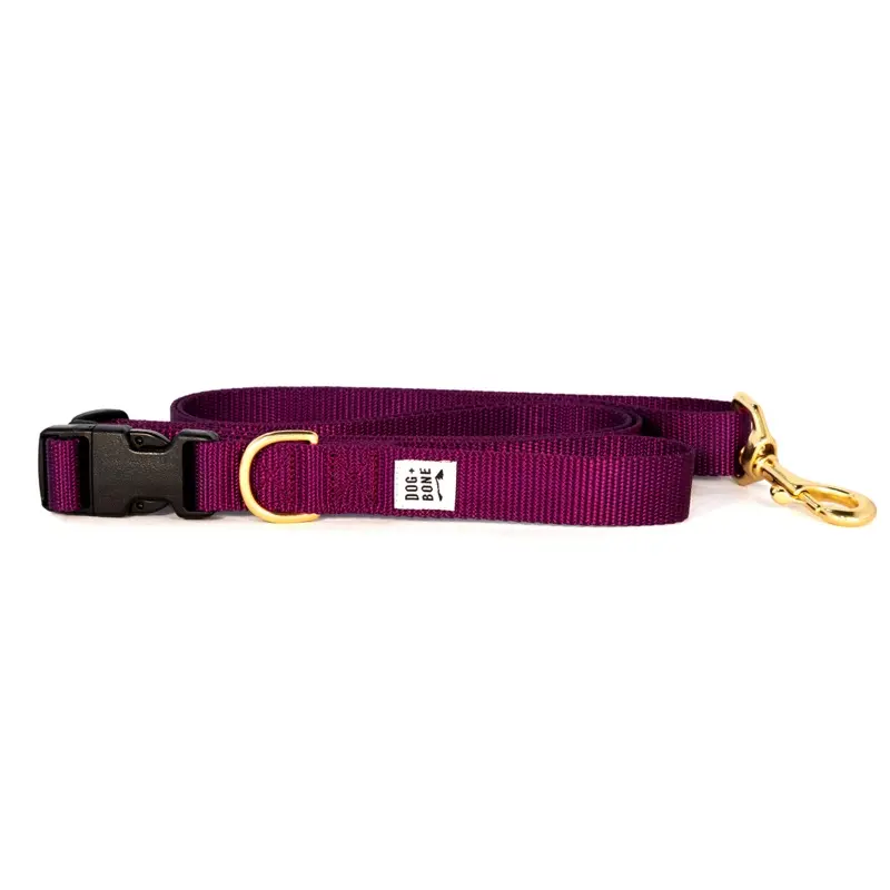 DOG + BONE | Adjustable Leash in Purple