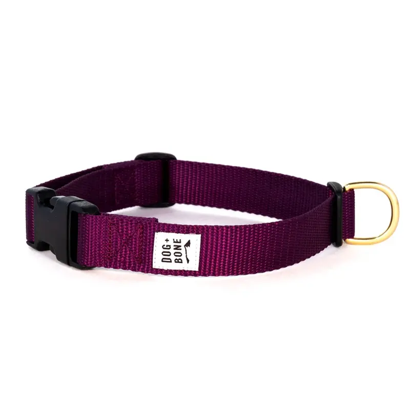 DOG + BONE | Snap in Collar in Purple