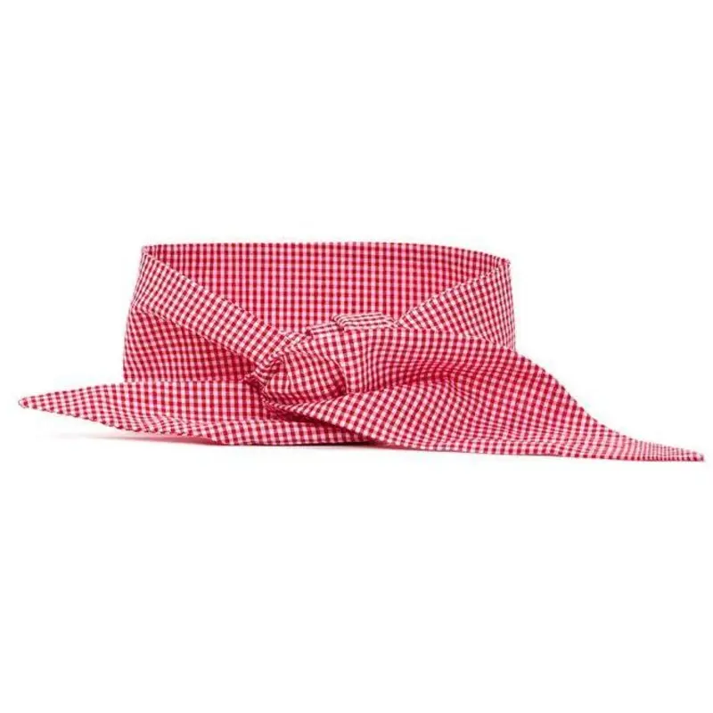 MODERN BEAST | Neck Tie in Red Gingham