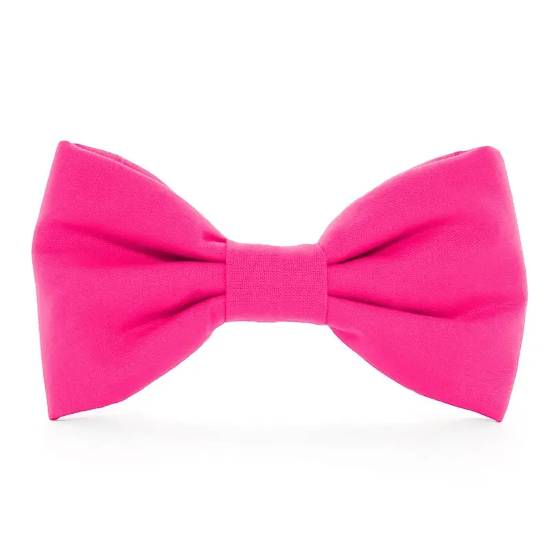 THE FOGGY DOG | Hot Pink Bow Tie