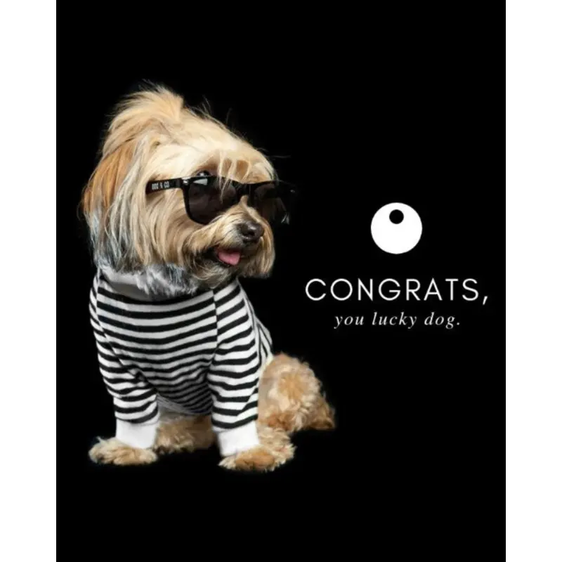 DOG & CO. | Gift Card