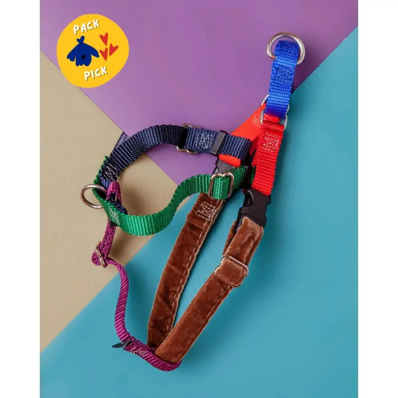 Freedom No-Pull Harness in Spice (Made in the USA)